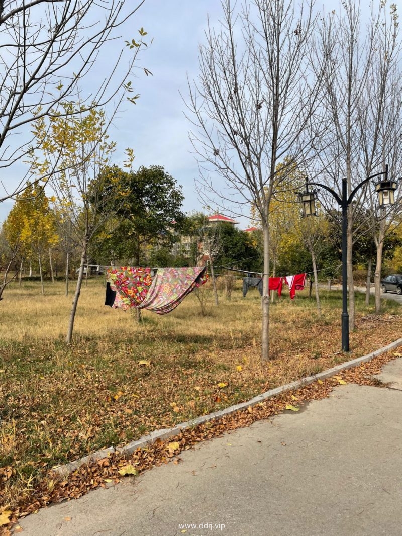 《懂懂骑山东》--菏泽东明县，这篇写的不错