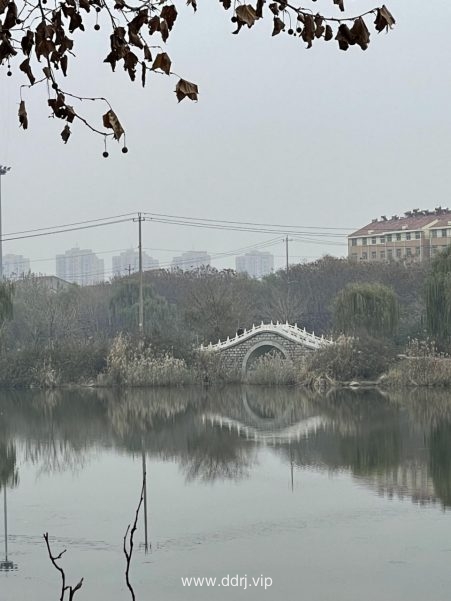 《懂懂骑山东》--枣庄滕州市