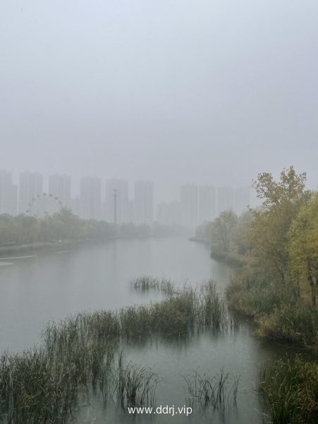 《懂懂骑山东》--菏泽巨野县