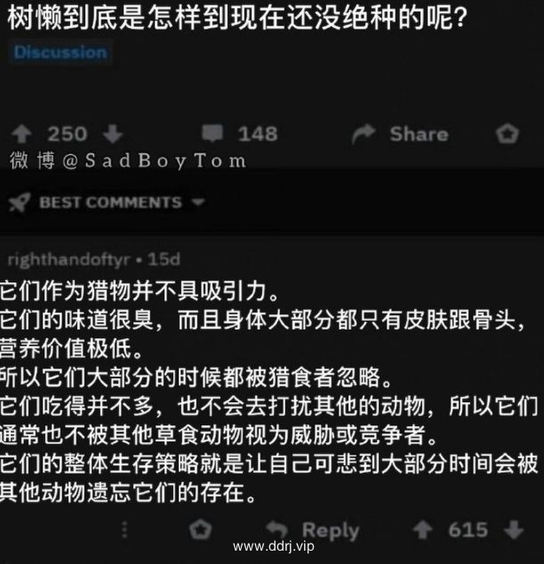 023-3-31，懂懂学习群聊天记录（1）：不要浪费时间在你无法控制的事情上感到焦虑。"