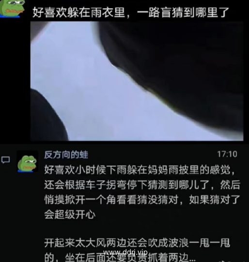 023-3-8，懂懂群聊天记录（3）：不要为任何的人的人生负责"