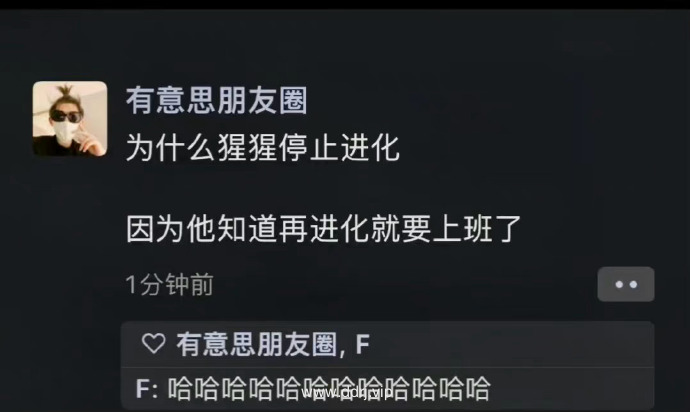 023-4-26，懂懂学习群聊天记录（1）：情绪的真正救赎，是踏实做事。"