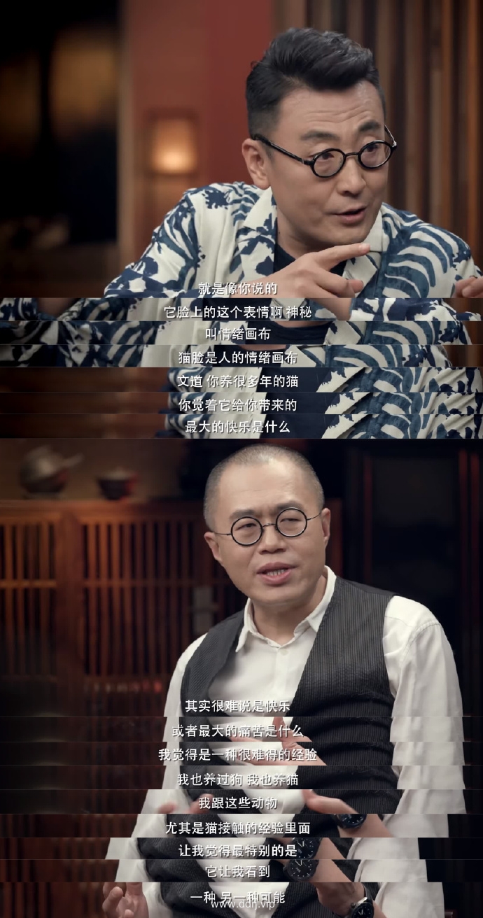 023-8-8，懂懂学习群聊天记录（1）：表达力是很重要的一门功课"